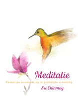 Meditatie - Sri Chinmoy - ebook