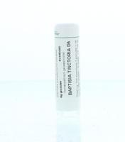 Homeoden Heel Baptisia tinctoria D6 6 Gram