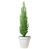 Pro Garden Bloempot - wit - rond - D50 cm - kunststof - plantenpot - tuin buiten