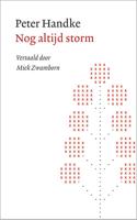 Nog altijd storm (Paperback)