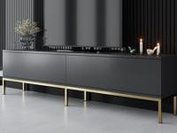 Tv-meubel LODINO 2 deuren antraciet/goud