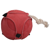 Excellent Horse Fun Play Ball Suede Roze