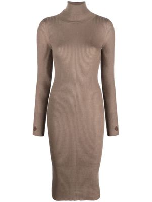 Wild Cashmere robe nervurée à col roulé - Tons neutres