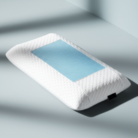 Boxkussen Bamboe - Cooling Traagschuim - Voor Zij- En Rugslaper - Traagschuim - Ondersteunend & Drukverlagend En Thermobeschermend - Dekbed-Discounter.nl