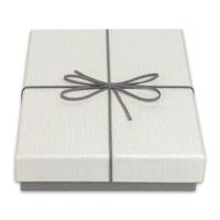 Zep opbergdoos bx3514b box piacenza b 15,3x21,4x4 Zep opbergdoos bx3514b box piacenza b 15,3x21,4x4