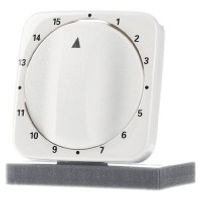 1770-212-103  - Cover plate for time switch cream white 1770-212-103 - thumbnail