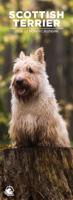 Schotse Terrier Slimline Kalender 2026
