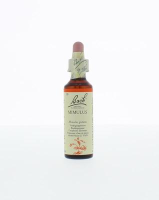 Bach Mimulus/maskerbloem