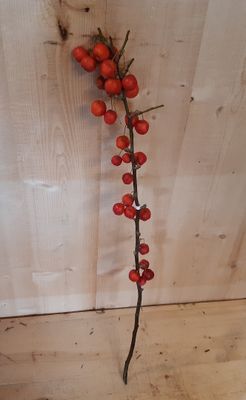 Kerstgroen 1 tak met appeltjes - Warentuin natuurlijk