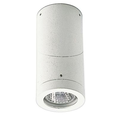 Albert Opbouwspots buiten plafondCylinder wit - 682138