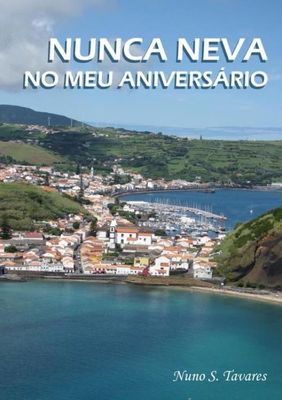 Nunca Neva No Meu Aniversario - Nuno S. Tavares - ebook