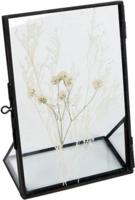 Van Manen Fotolijst Droogbloemen 11 X 16 Cm Staal/glas Zwar