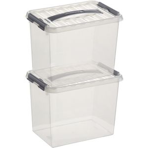 2x Opberg boxen/opbergdozen 9 liter 30 x 20 x 22 cm kunststof