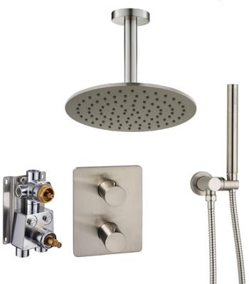 Ben Lavion 250 inbouw regendoucheset met plafondaansluiting Ø25cm RVS-look