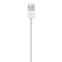 Apple Apple iPad/iPhone/iPod Aansluitkabel [1x USB-A 2.0 stekker - 1x Apple dock-stekker Lightning] 0.50 m Wit - thumbnail