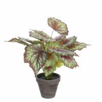 Mica Decorations Kunstplant - begonia - rood - in pot - 38 x 40 cm   - - thumbnail