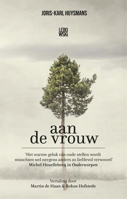 Aan de vrouw - Joris-Karl Huysmans - ebook
