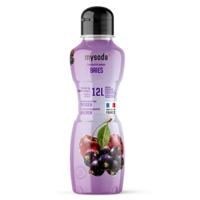 Mysoda AB1105 Bessen Concentraat 0.5L voor 12L Frisdrank Mysoda AB1105 Bessen Concentraat 0.5L voor 12L Frisdrank
