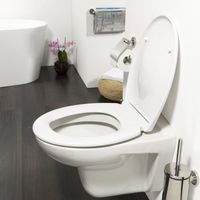 Tiger Toiletzitting Ventura Softclose Duroplast Wit