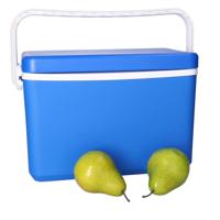 Iceberg lunch koelbox - 10 liter - kunststof - blauw - 36 x 20 x 23 cm