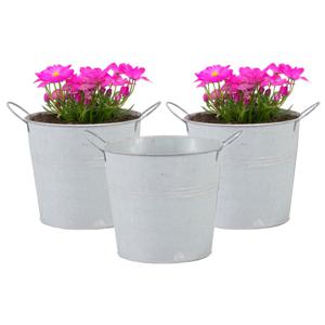 Emmer/plantenpot/bloempot - 3x - zink - whitewash - D14 x H12 cm