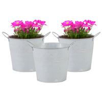 Emmer/plantenpot/bloempot - 3x - zink - whitewash - D14 x H12 cm - thumbnail