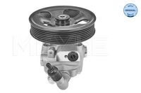 Servo pomp 5146310022