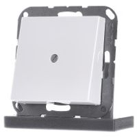 A 590 BF A WW  - Basic element with central cover plate A 590 BF A WW - thumbnail