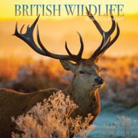 British Wildlife Kalender 2026