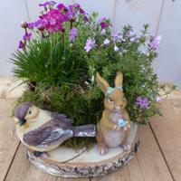 Roze voorjaarsplantjes op houten schijf 30 cm diameter Warentuin Natuurlijk - Warentuin natuurlijk