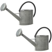 Set van 2x stuks grijze tuinbewatering/decoratie gieters van zink 10 liter