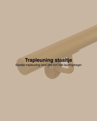 Staaltje trapleuning rond 42,2mm goud