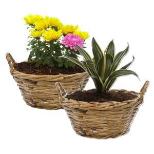 Planten/bloemen mand Cuba - 2x - rotan - lichtbruin - D25 x H11 cm - plantenpot voor buiten