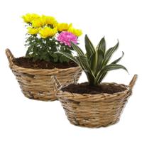 Planten/bloemen mand Cuba - 2x - rotan - lichtbruin - D25 x H11 cm - plantenpot voor buiten - thumbnail