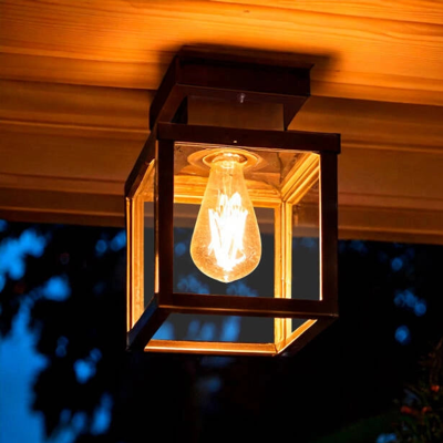 Plafondlamp zwart met glas industrieel &apos;Ricard&apos; 22 cm