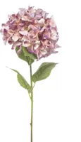 Emerald kunsttak hortensia 90cm perzik, paars