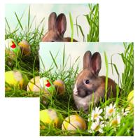 Paas thema servetten - 40x - Konijn print - 33 x 33 cm - Pasen - feestservetten - Paasontbijt