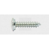 SWG 4009146193771 Nummerbordschroeven 5.6 mm 19 mm Kruiskop Phillips Staal Verzinkt 100 stuk(s) - thumbnail