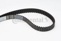 Getande riem CONTINENTAL CTAM, u.a. für Citroën, Ford, Peugeot, DS, Toyota, Opel