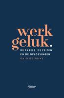 Werkgeluk (Paperback)