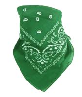 Bandana Rain Drop Groen 54 x 54 cm