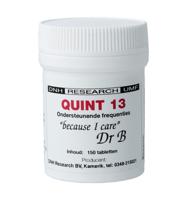 Quint 13