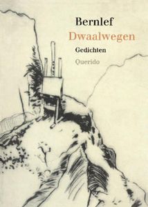 Dwaalwegen - J. Bernlef - ebook