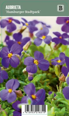 V.I.P.S. Aubrieta ''Hamburger Stadtpark'' - Aubrieta P9