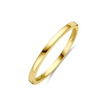 Stijlvolle 14k Geelgouden Ring - Breedte 1.5 mm