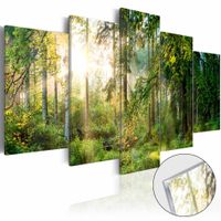Afbeelding op acrylglas - Zonlicht door de bomen, Groen,  5luik