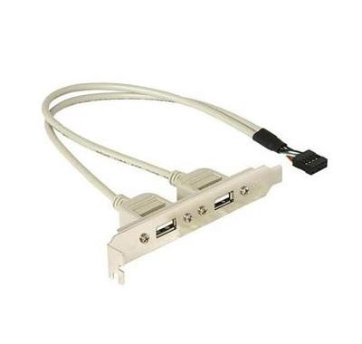 2x USB 2.0 bracket