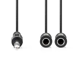 Nedis Stereo-Audiokabel | 6,35 mm Male | 2x 6,35 mm Female | Vernikkeld | 0.20 m | Rond | Doos - CAGB23110BK02