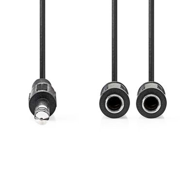 Nedis Stereo-Audiokabel | 6,35 mm Male | 2x 6,35 mm Female | Vernikkeld | 0.20 m | Rond | Doos - CAGB23110BK02