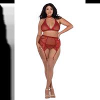 Dreamgirl Visnet en Kant 4-delige Set - Plus Size - thumbnail